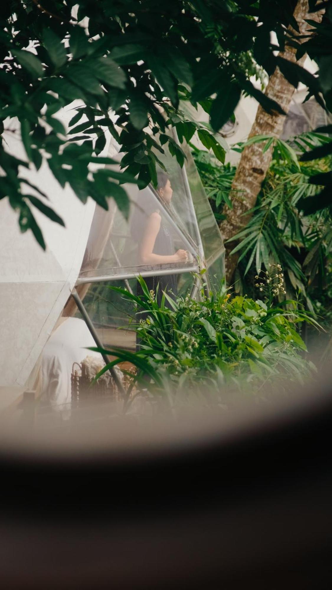 Lintang Luku Tent Resort Ijen, Banyuwangi Banyuwangi  Ngoại thất bức ảnh