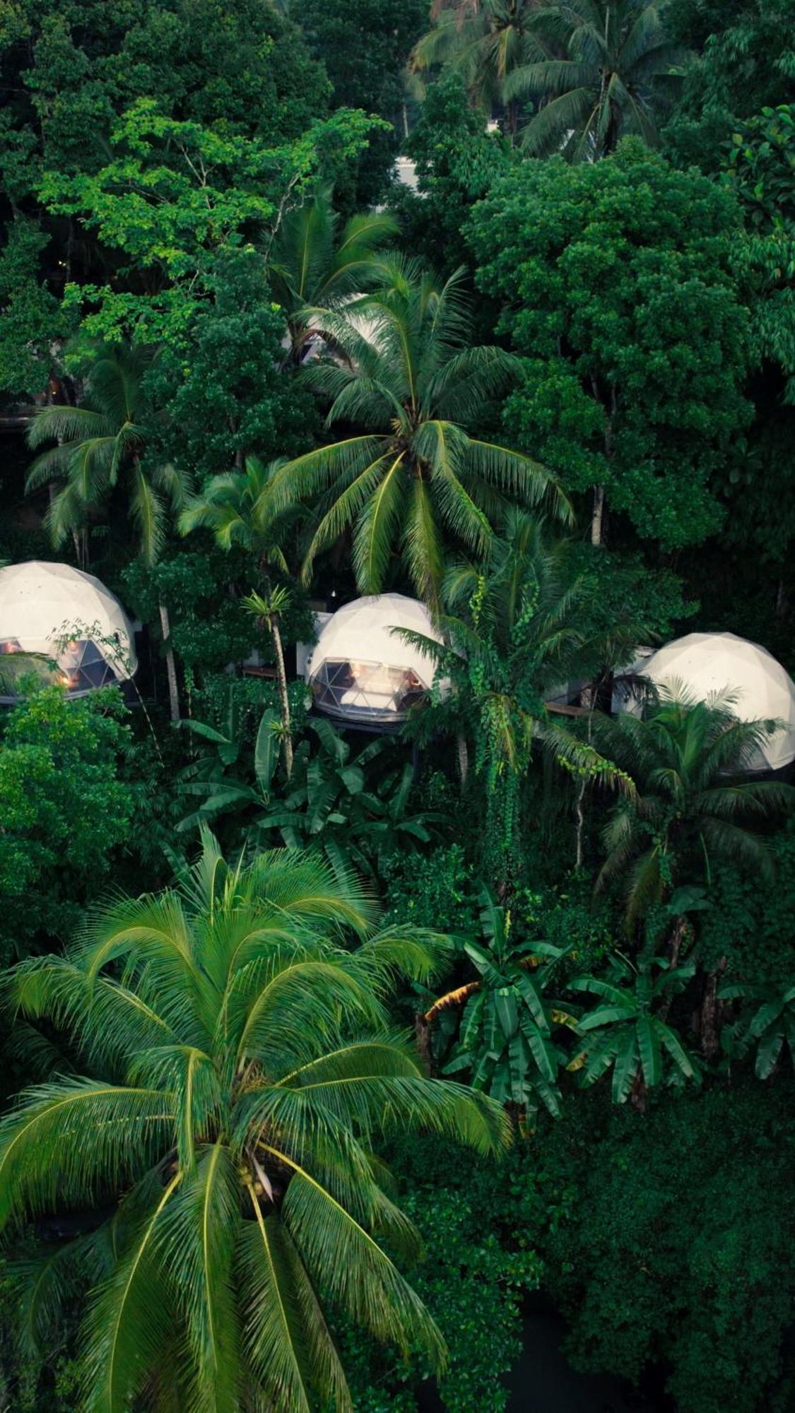 Lintang Luku Tent Resort Ijen, Banyuwangi Banyuwangi  Ngoại thất bức ảnh